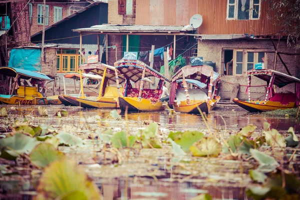 Shikara boat in Dal lake , Kashmir India — Stock Photo, Image