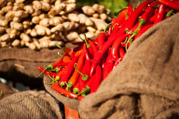 ปาปิคาสีแดงในตลาดผักดั้งเดิมในอินเดีย . — ภาพถ่ายสต็อก