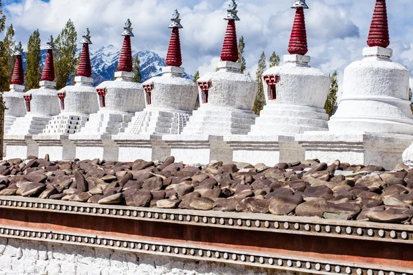 Thiksey Manastırı, ladakh, Hindistan — Stok fotoğraf