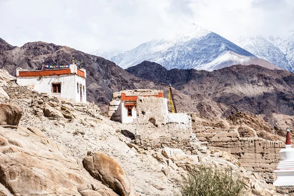 Klooster, shey, ladakh, india — Stockfoto