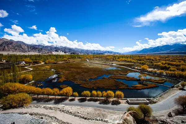 Ladakh in Indian Himalayas, Himachal Pradesh, India — Stock Photo, Image