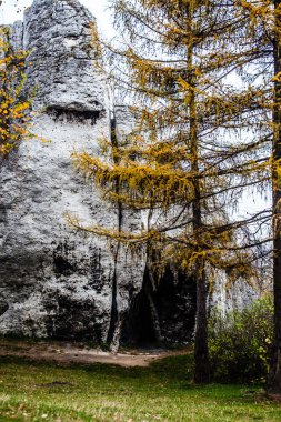 ogrodzieniec sur duvarları, Polonya eski kale kalıntıları.