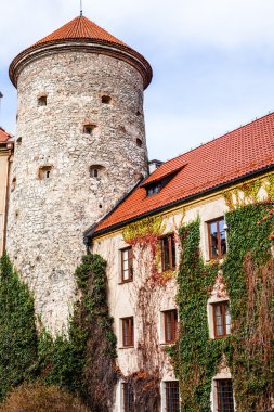 pieskowa skala Kalesi ve Bahçe, Bina krakow, Polonya Ortaçağ görünümü