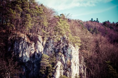Sonbahar ormanı ve beyaz kaya, Ojcowski Ulusal Parkı, Ojcow, Polonya