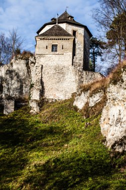 Castle ruins on a hill top in Ojcow, Poland clipart