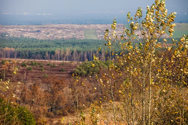 가 색상 ogrodzieniec, 폴란드 근처 시골 풍경 — 스톡 사진