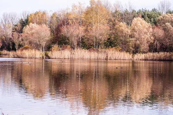 Typická podzimní v Polsku. — Stock fotografie