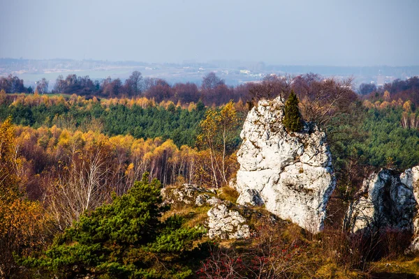 秋天的颜色接近 ogrodzieniec，波兰的乡村景观 — 图库照片