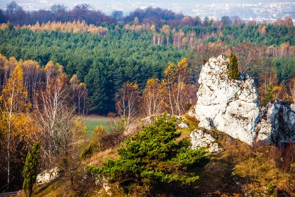 Autumn colors rural landscape near Ogrodzieniec, Poland — Stock Photo, Image