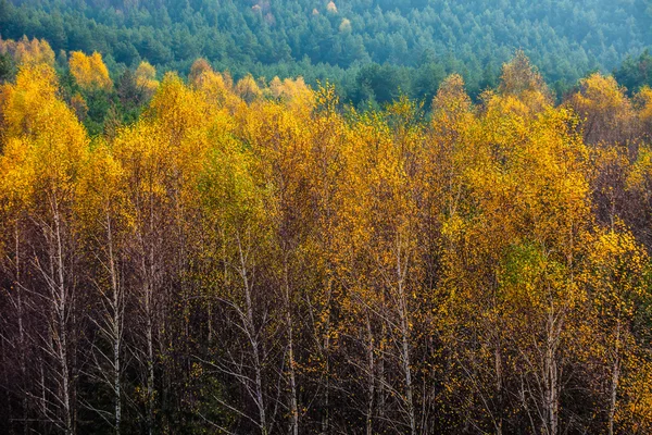 Cores do outono paisagem rural perto de Ogrodzieniec, Polônia — Fotografia de Stock