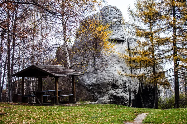 Les ruines du vieux château des fortifications d'Ogrodzieniec, Pologne . — Photo