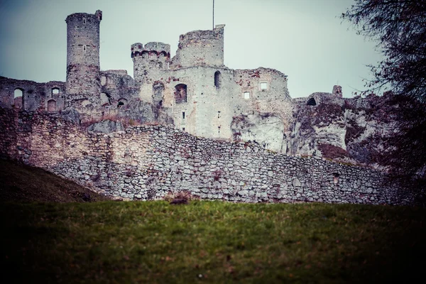 Ruiny zamku ogrodzieniec fortyfikacji, Polska. — Zdjęcie stockowe