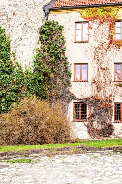 Parede verde de beleza palácio velho em Pieskowa Skala - Polônia, perto de Cracóvia . — Fotografia de Stock