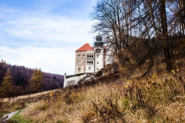 Widok Pieskowej skala zamek i ogród, średniowiecznym budynku stojącym w pobliżu Kraków, Polska — Zdjęcie stockowe