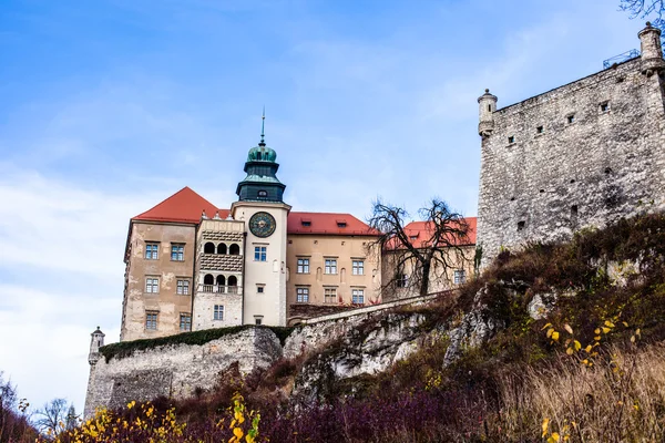 Pohled na hrad pieskowa skala a zahradu, středověké budově poblíž krakow, Polsko — Stock fotografie