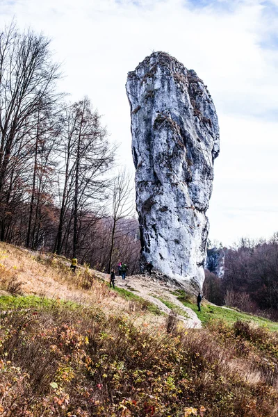 Nationaal park in ojcow - Polen. rots genaamd hercules' club. — Stockfoto