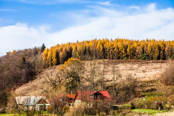Φθινοπωρινό δάσος και λευκός βράχος, Εθνικό Πάρκο Ojcowski, Ojcow, Πολωνία — Φωτογραφία Αρχείου