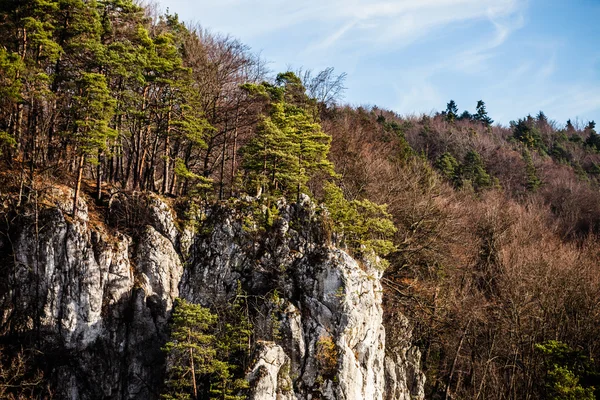 秋の森と白い岩,オホフスキー国立公園,オホフスキー,ポーランド — ストック写真