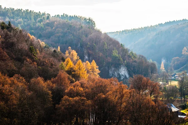 Jesienny las i biała skała, Ojcowski Park Narodowy, Ojcow, Polska — Zdjęcie stockowe