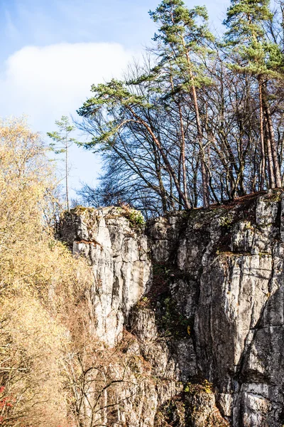 Najaarsbos en witte rots, Ojcowski National Park, Ojcow, Polen — Stockfoto