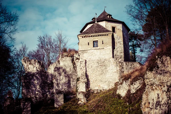Ruiny zamku na szczycie wzgórza w ojcowski, Polska — Zdjęcie stockowe