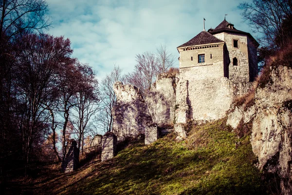 Castle ruins on a hill top in Ojcow, Poland — Stock Photo, Image