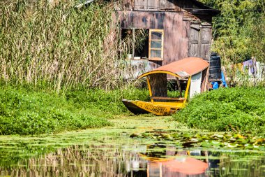 dal Gölü, Keşmir Hindistan'shikara tekne