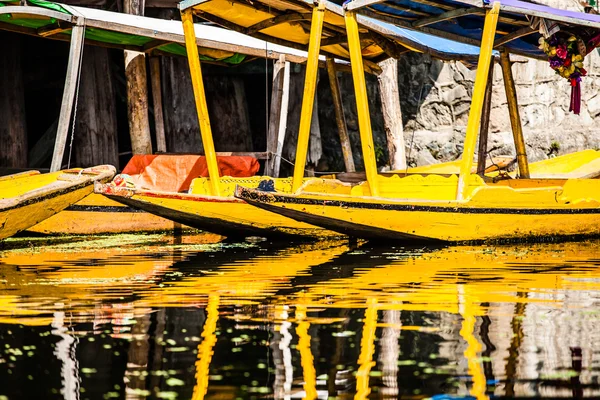 Shikara boot in dal lake, Kasjmir, india — Stockfoto