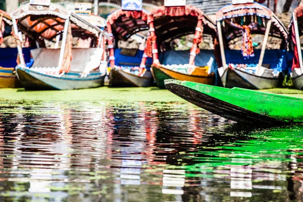 Shikara bateau dans le lac Dal, Cachemire Inde — Photo