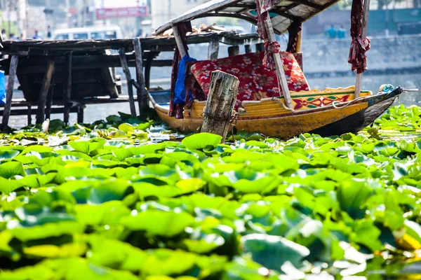 Shikara boot in dal lake, Kasjmir, india — Stockfoto