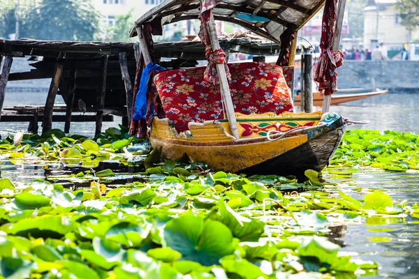 Shikara barca nel lago Dal, Kashmir India — Foto Stock