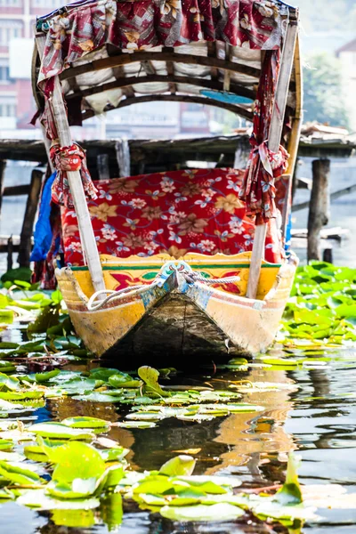 Shikara boot in dal lake, Kasjmir, india — Stockfoto