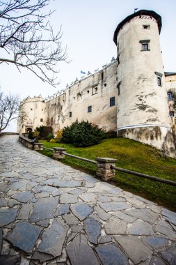 czorsztyn Gölü Polonya Niedzica castle