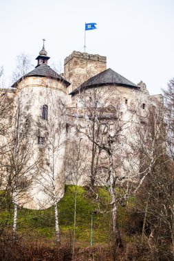 czorsztyn Gölü Polonya Niedzica castle