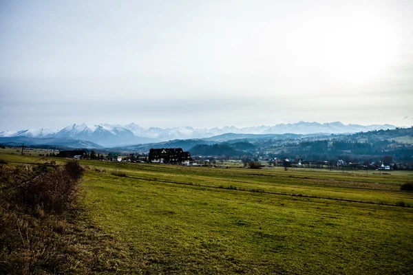 Grünes Tal in der Hohen Tatra in Zakopane, Polen. — Stockfoto