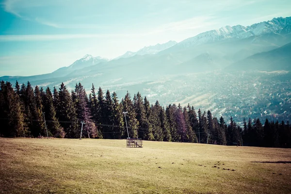 Grünes Tal in der Hohen Tatra in Zakopane, Polen. — Stockfoto