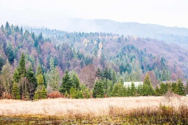 Herbst beskid Bergwald Hintergrund, Polen — Stockfoto