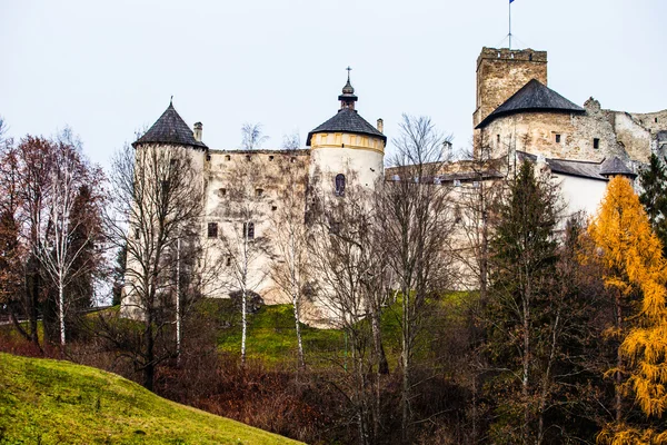 Zamek w Niedzicy jezioro czorsztyn w Polsce — Zdjęcie stockowe