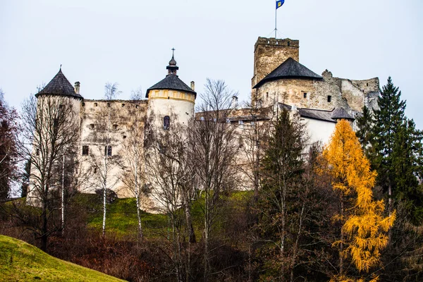 Niedzica Castle at Czorsztyn Lake in Poland — Stock Photo, Image