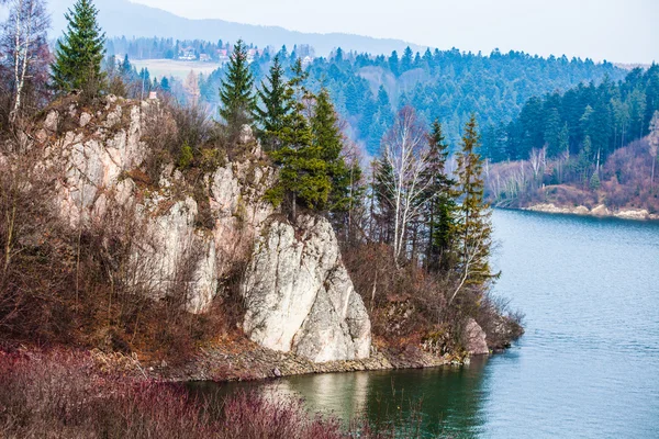 Zamek w Niedzicy jezioro czorsztyn w Polsce — Zdjęcie stockowe