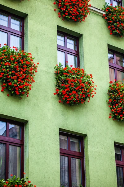 Traditionele architectuur in beroemde Poolse stad, torun, Polen. — Stockfoto