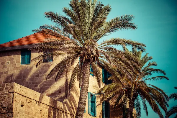 House with palms in Jaffa, a southern oldest part of Tel Aviv - Jaffa — Stock Photo, Image