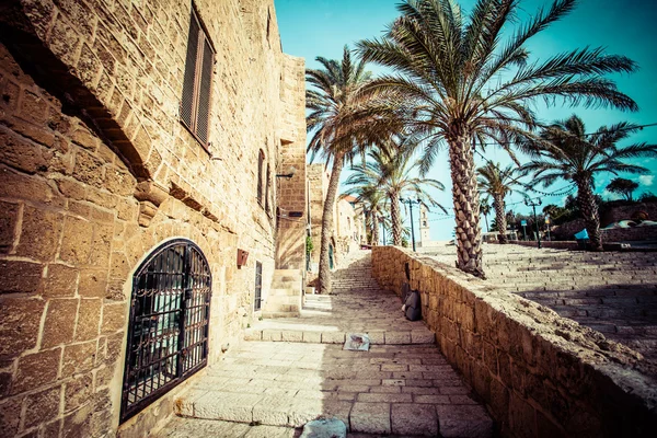 자파, 텔아비브, 이스라엘의 옛 거리 스톡 사진
