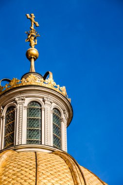 Wawel Katedrali - ünlü Polonyalı cracow wawel hill tarihinde dönüm noktası