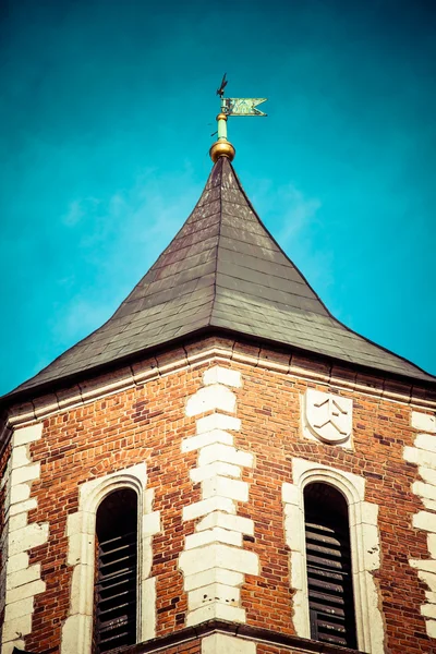 Catedral de Wawel - famoso monumento polaco en la colina de Wawel en Cracovia — Foto de Stock