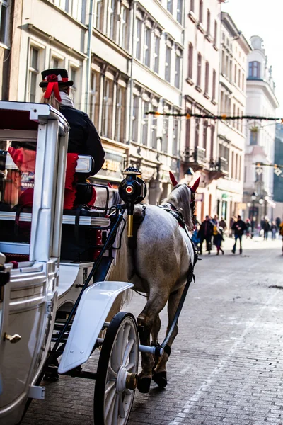 Horse-drawn carriage in Krakow, Poland. — Stock Photo, Image