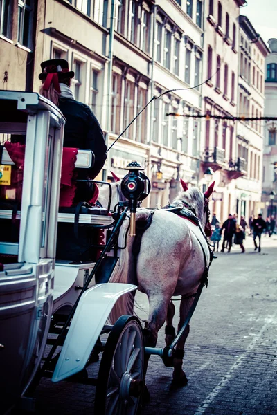 Koets in Krakau, Polen. — Stockfoto