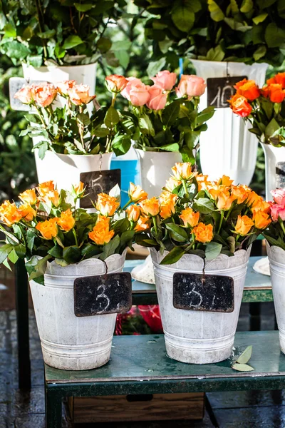 Renkli çiçek çiçekçi bir pazarında — Stok fotoğraf