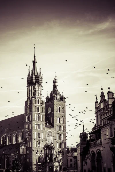 View at St. Mary's Gothic Church, famous landmark in Krakow, Poland. — Stock Photo, Image