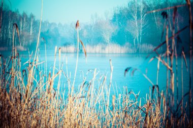 Polonya tipik sonbahar.